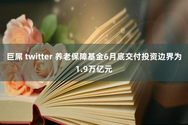 巨屌 twitter 养老保障基金6月底交付投资边界为1.9万亿元