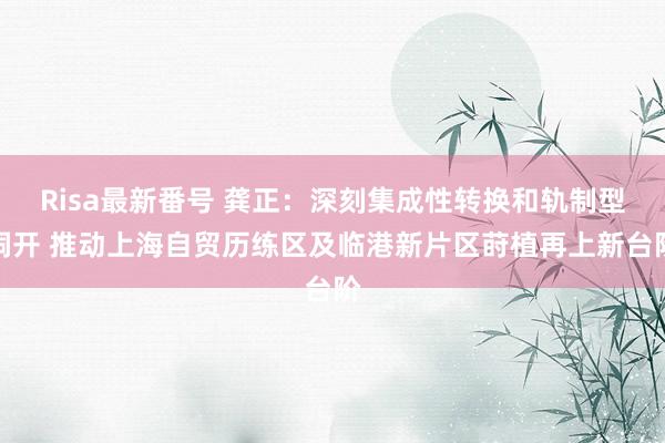 Risa最新番号 龚正：深刻集成性转换和轨制型洞开 推动上海自贸历练区及临港新片区莳植再上新台阶