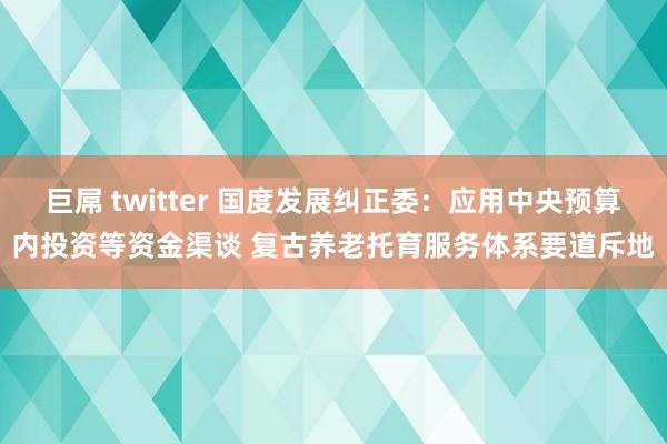 巨屌 twitter 国度发展纠正委：应用中央预算内投资等资金渠谈 复古养老托育服务体系要道斥地