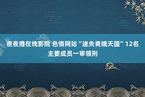 夜夜撸在线影院 色情网站“迷失青娥天国”12名主要成员一审领刑