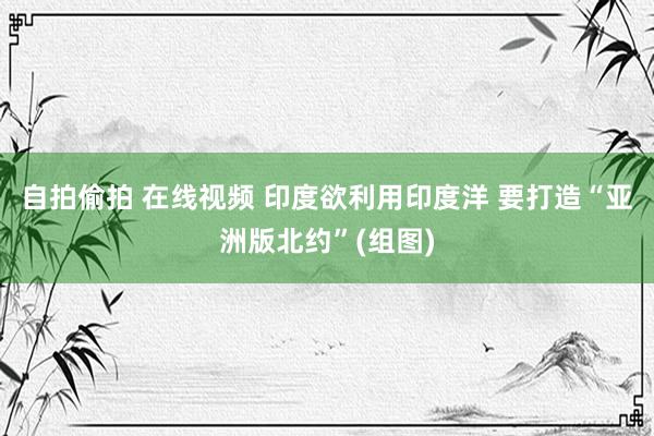 自拍偷拍 在线视频 印度欲利用印度洋 要打造“亚洲版北约”(组图)