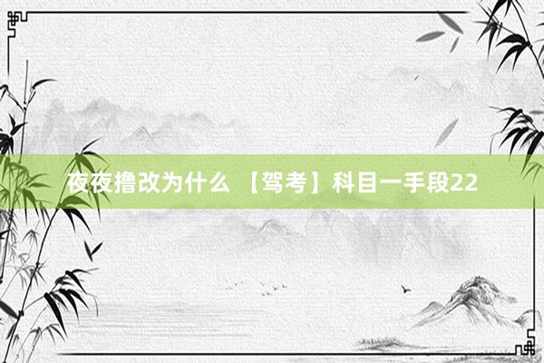 夜夜撸改为什么 【驾考】科目一手段22