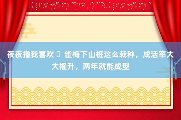 夜夜撸我喜欢 ​雀梅下山桩这么栽种，成活率大大擢升，两年就能成型