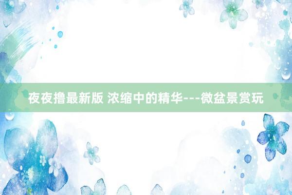 夜夜撸最新版 浓缩中的精华---微盆景赏玩