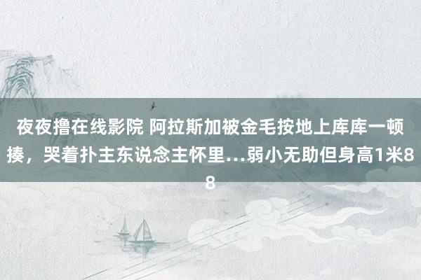 夜夜撸在线影院 阿拉斯加被金毛按地上库库一顿揍，哭着扑主东说念主怀里…弱小无助但身高1米8