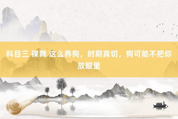 科目三 裸舞 这么养狗，时期真切，狗可能不把你放眼里