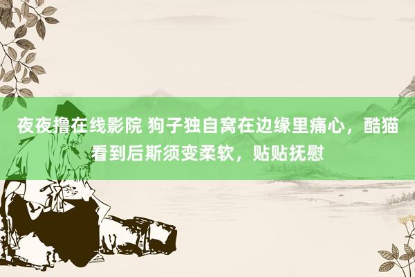 夜夜撸在线影院 狗子独自窝在边缘里痛心，酷猫看到后斯须变柔软，贴贴抚慰