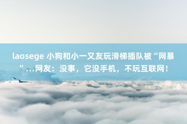 laosege 小狗和小一又友玩滑梯插队被“网暴”…网友：没事，它没手机，不玩互联网！