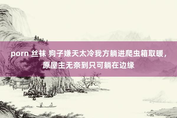 porn 丝袜 狗子嫌天太冷我方躺进爬虫箱取暖，原屋主无奈到只可躺在边缘