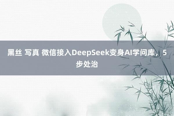 黑丝 写真 微信接入DeepSeek变身AI学问库，5步处治