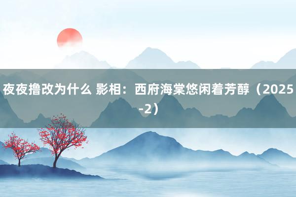 夜夜撸改为什么 影相：西府海棠悠闲着芳醇（2025-2）