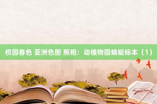 校园春色 亚洲色图 照相：动植物园蜻蜓标本（1）