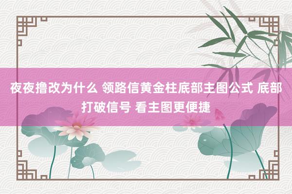 夜夜撸改为什么 领路信黄金柱底部主图公式 底部打破信号 看主图更便捷